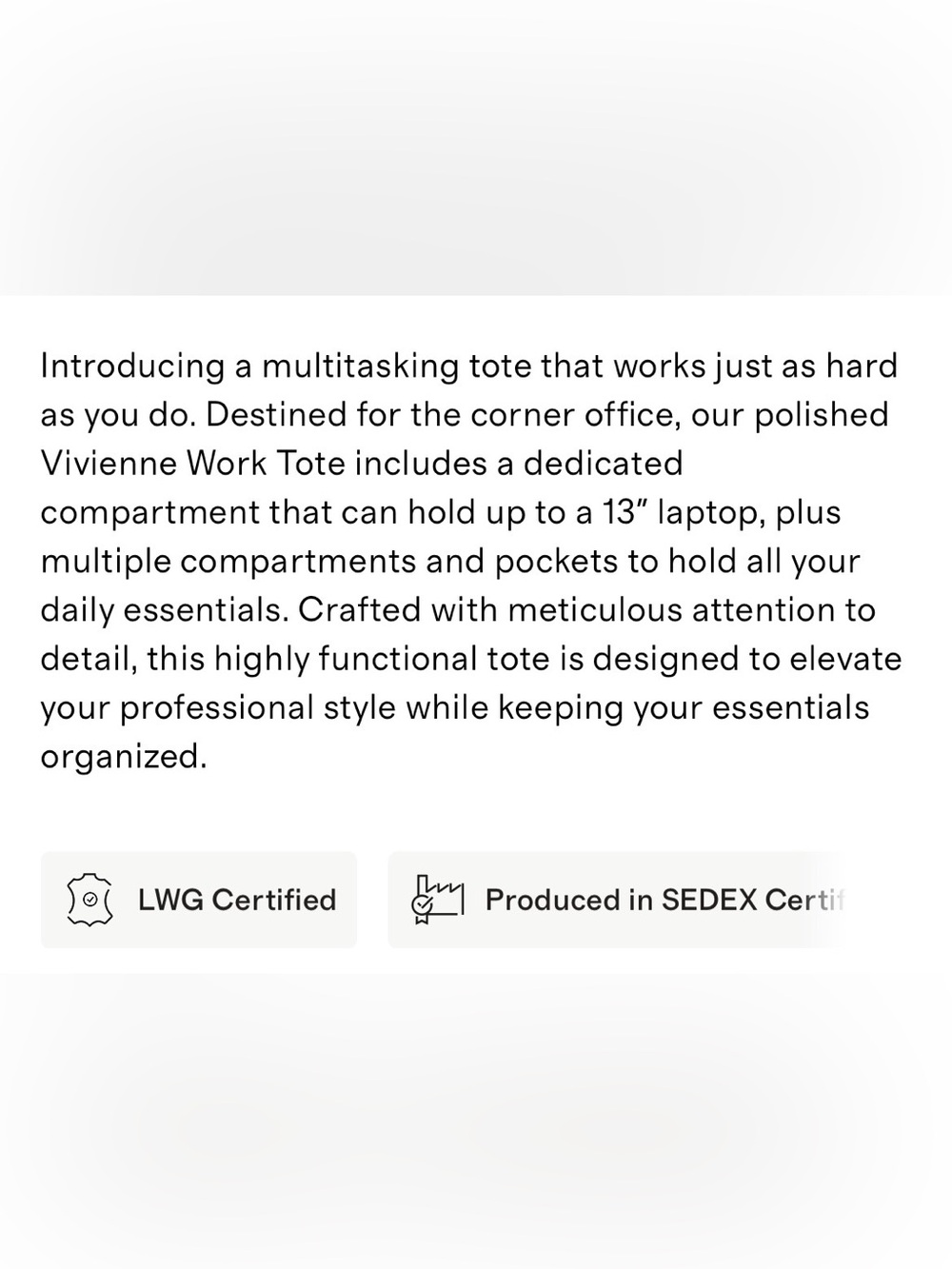 New! Quince Vivienne Work Tote - Picture 10 of 12